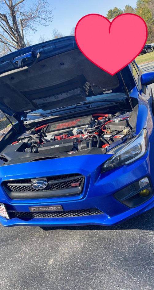 jaimie correia's 2015 Impreza WRX STI launch edition