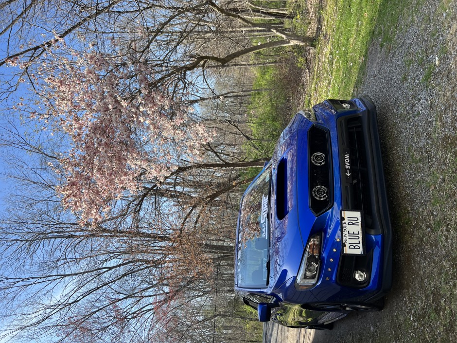 Hallie Myers's 2019 Impreza WRX Limited