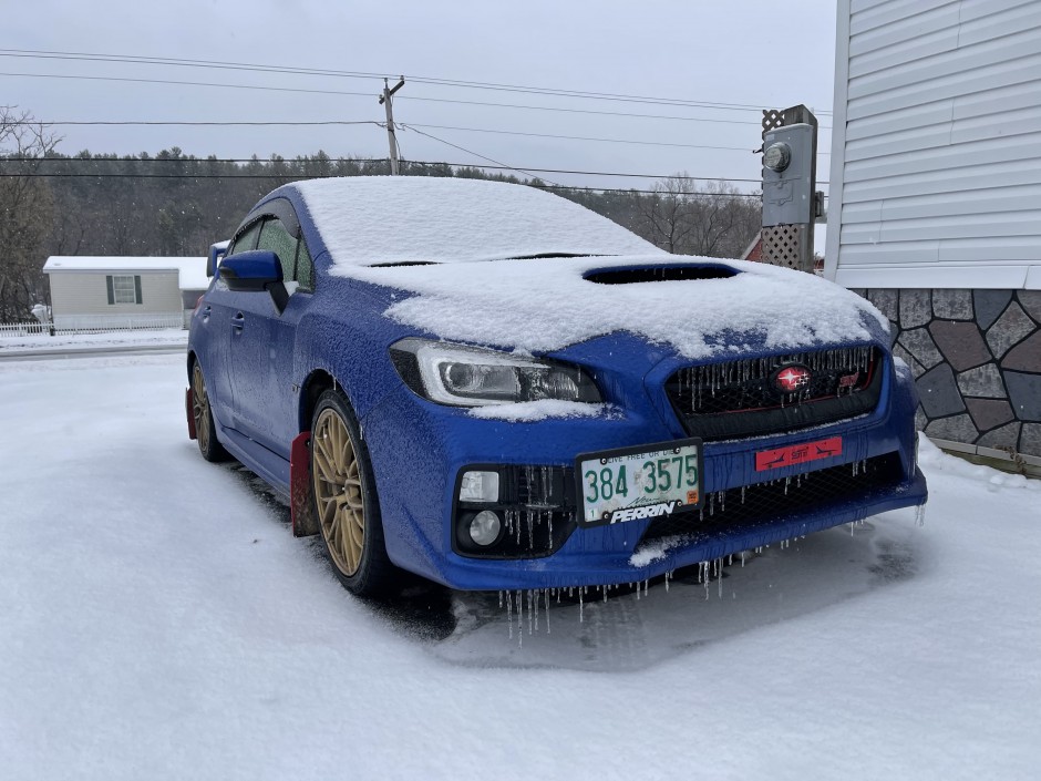 Cole  M's 2016 Impreza WRX STI Base 