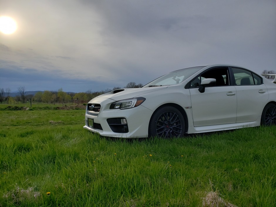 Montana Giusto's 2017 Impreza WRX STI Base