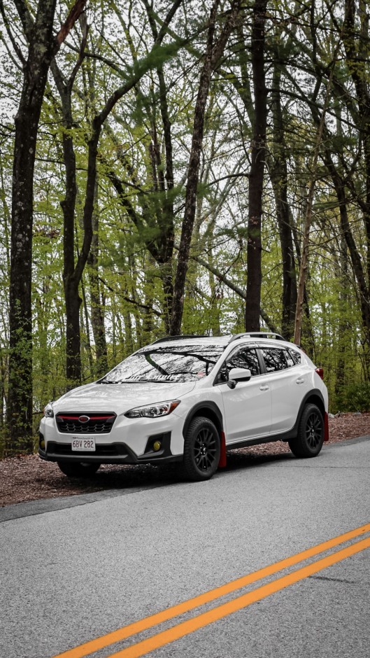 Sarah Toppa's 2018 Crosstrek Premium