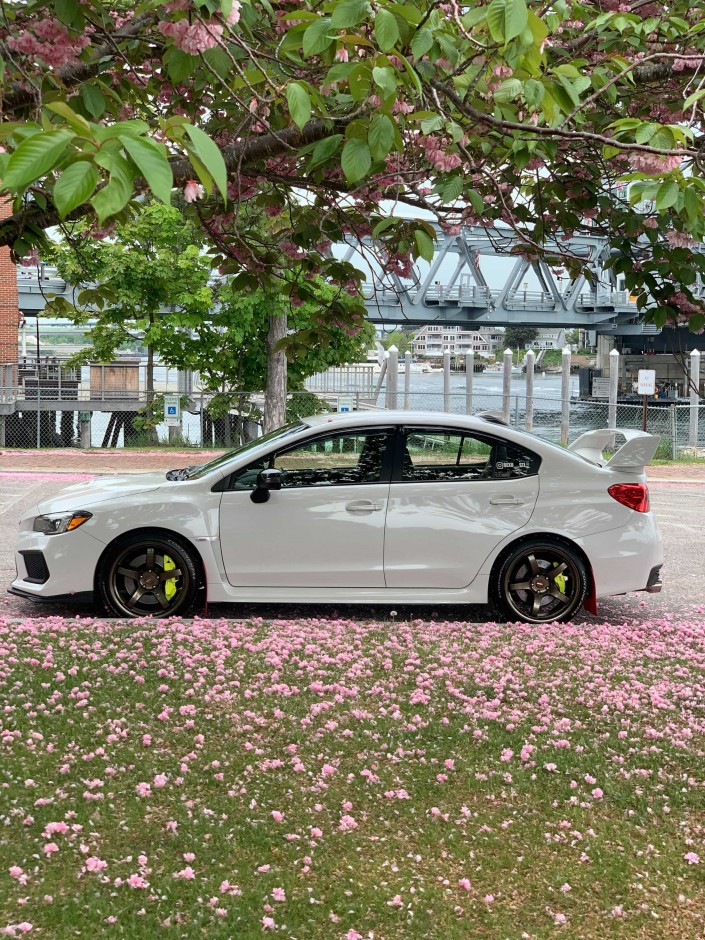 Sean O'Toole's 2019 Impreza WRX STI Limited