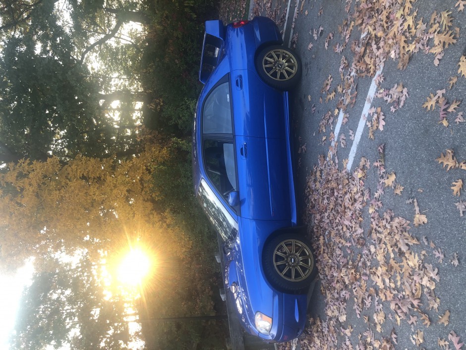 Paulo  D's 2004 Impreza WRX STI 2.5