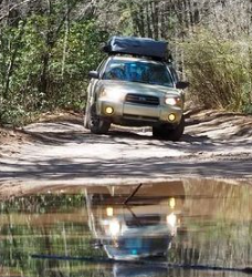 Nicholas L's 2004 Forester 2.5XS