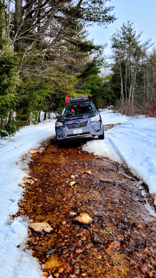 Alexander Cramm's 2019 Forester Premium