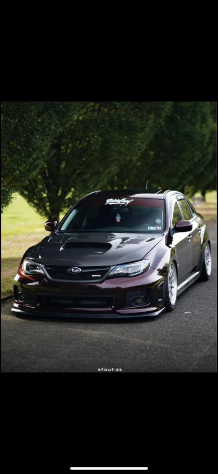 Alexandra K's 2013 Impreza WRX Limited