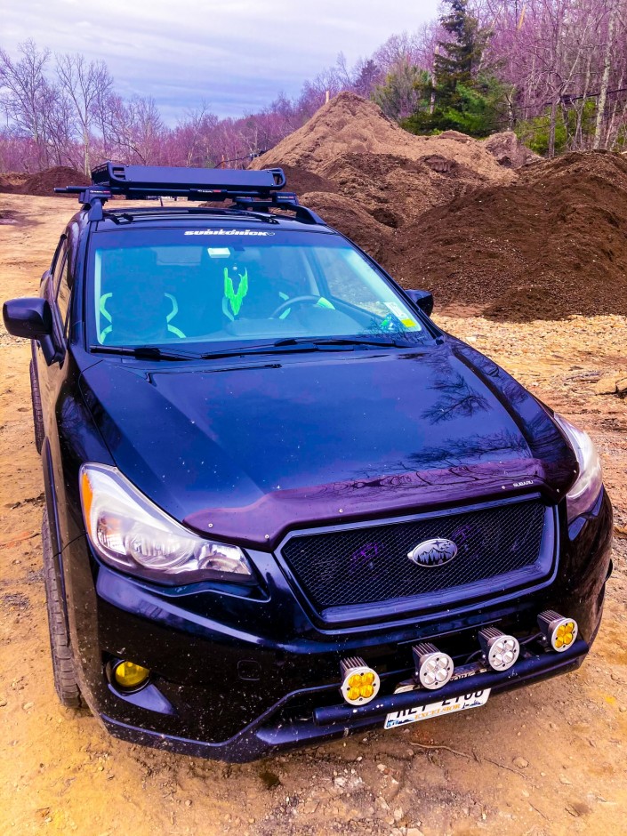 Roxanne  R's 2014 Crosstrek 