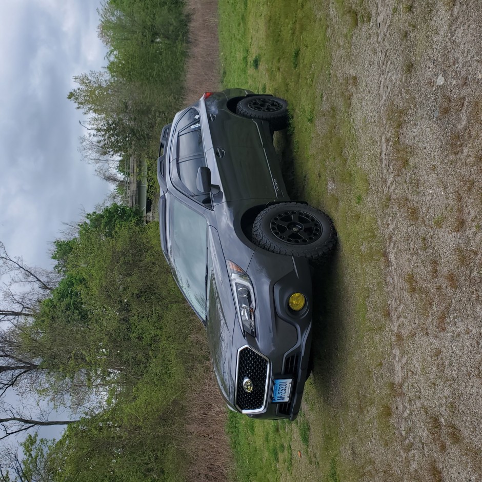 Emily Robinson's 2019 Outback Premium