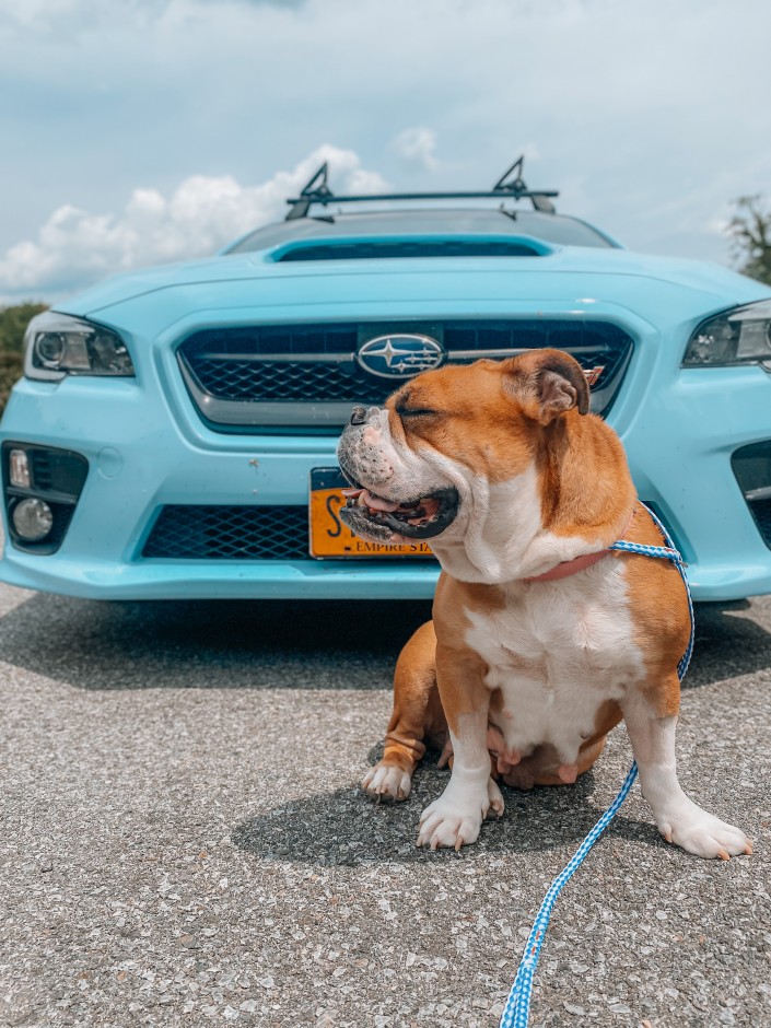 Shannon L's 2016 Impreza WRX STI 2.5L