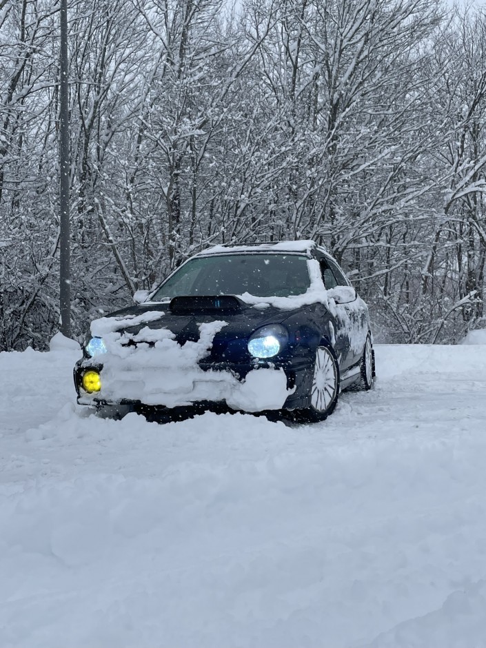 Jameson Moscatelli's 2002 Impreza WRX 2.0T  Wagon