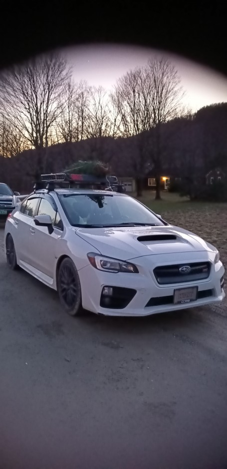 Montana Giusto's 2017 Impreza WRX STI Base