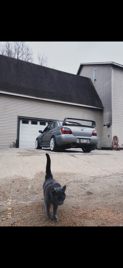 Cole Curtis's 2006 Impreza WRX TR