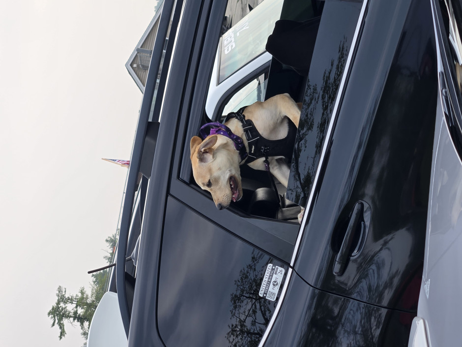 Michael N's 2014 Forester 2.0XT Premium 2.0 XT