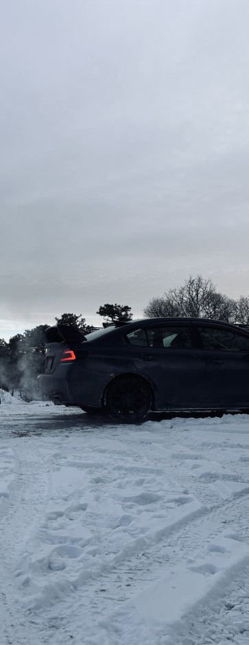 Lucia C's 2018 WRX Premium