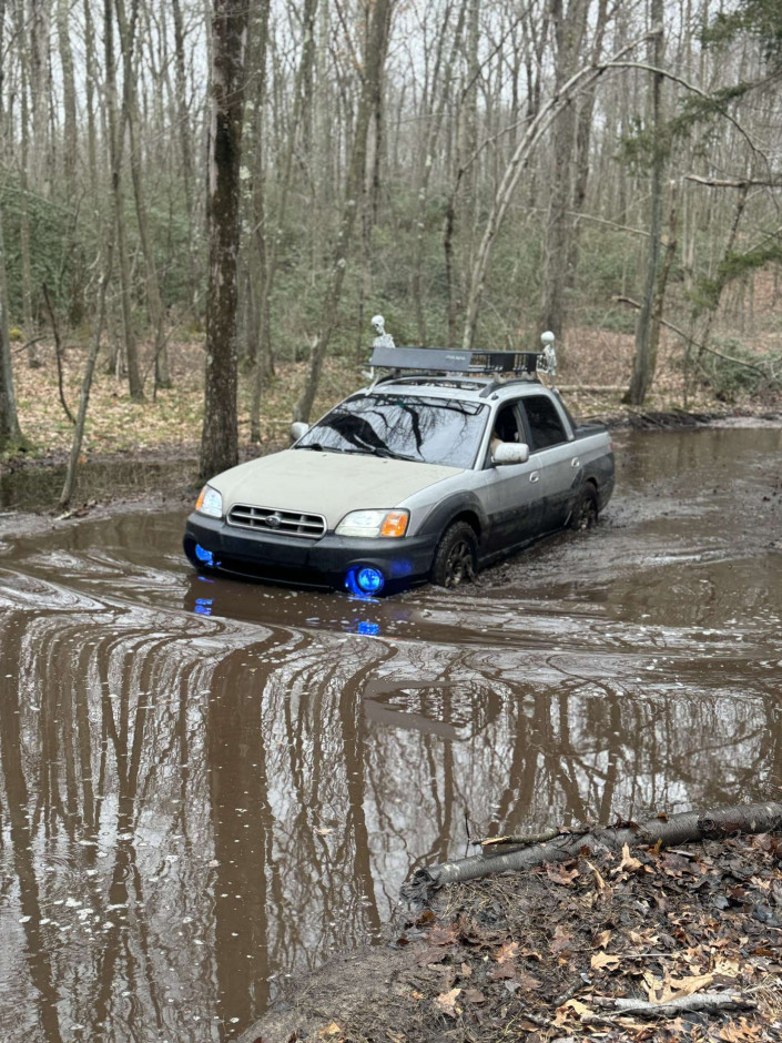 Hannah H's 2003 Baja 