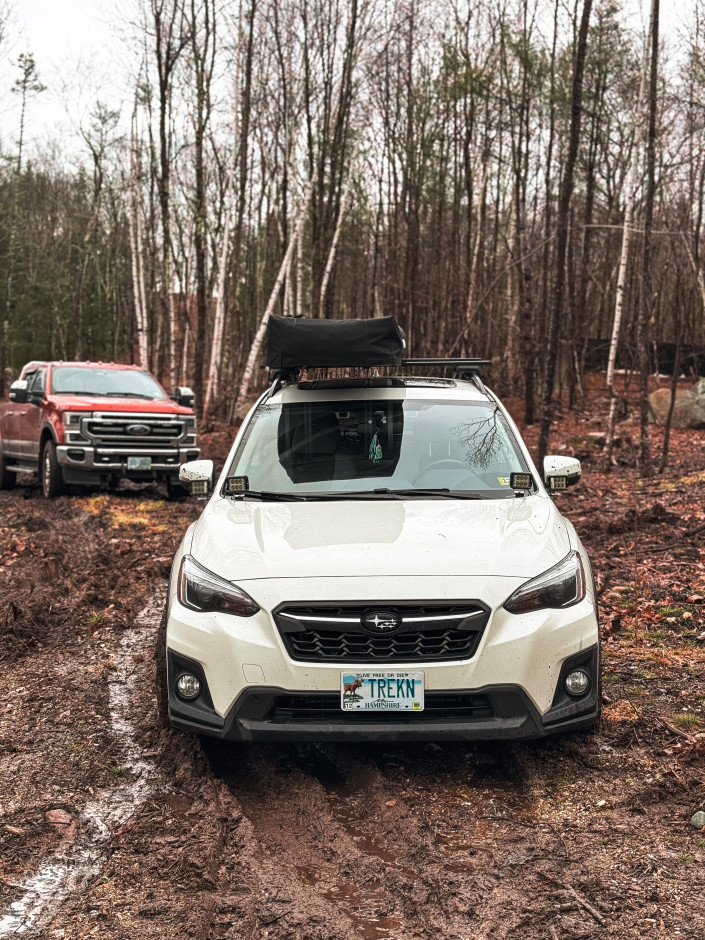 Kaden  P's 2019 Crosstrek Limited 