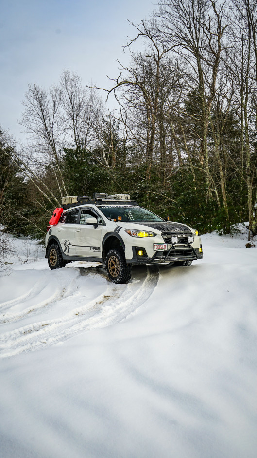 Brendan maloney's 2019 Crosstrek Premium 