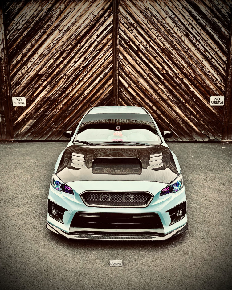 Rhiannon  Bird 's 2019 Impreza WRX Series Gray