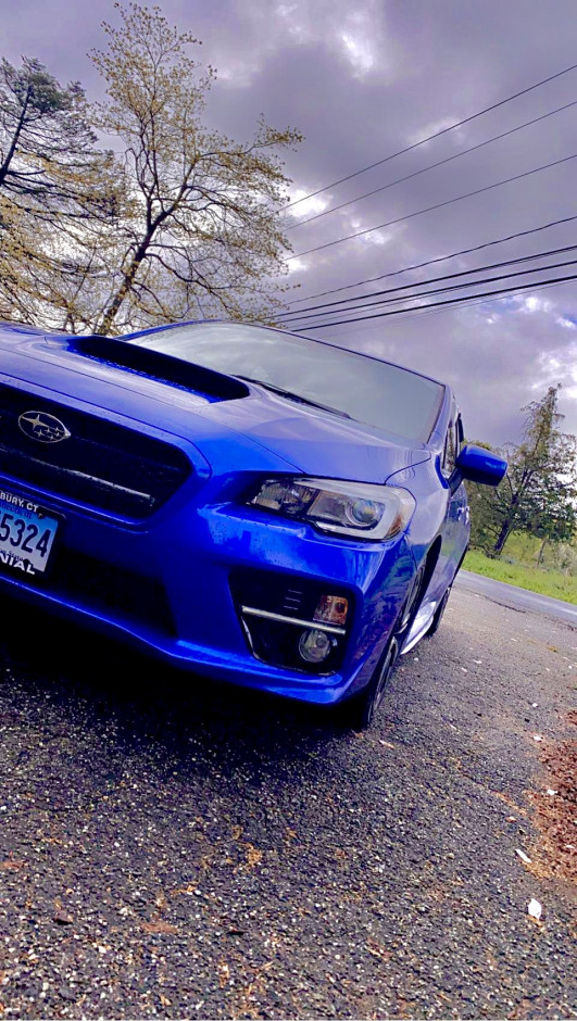 Kaylyn C's 2015 Impreza WRX Limited 