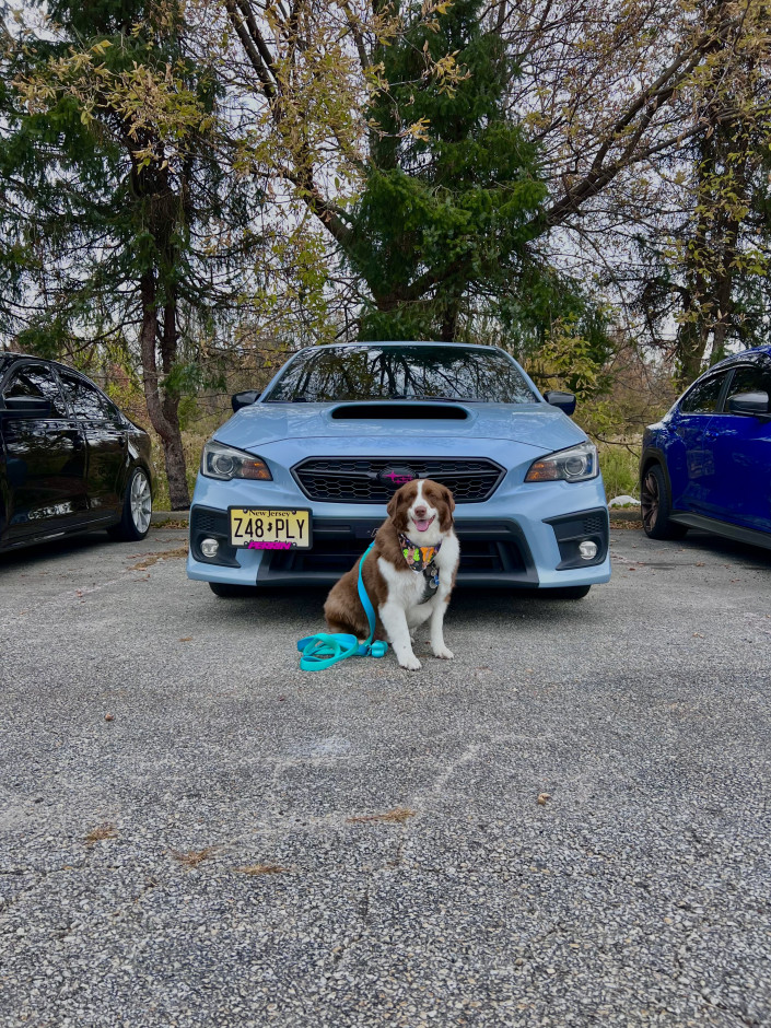 Lindsay Scriffiano's 2019 Impreza WRX Premium 