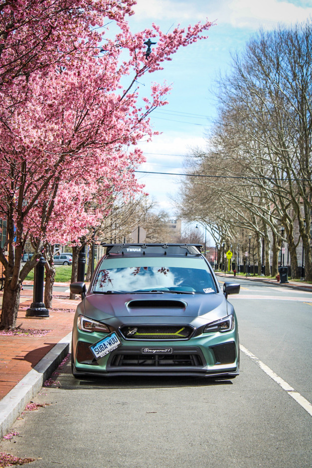 AnnMarie C's 2021 Impreza WRX Premium