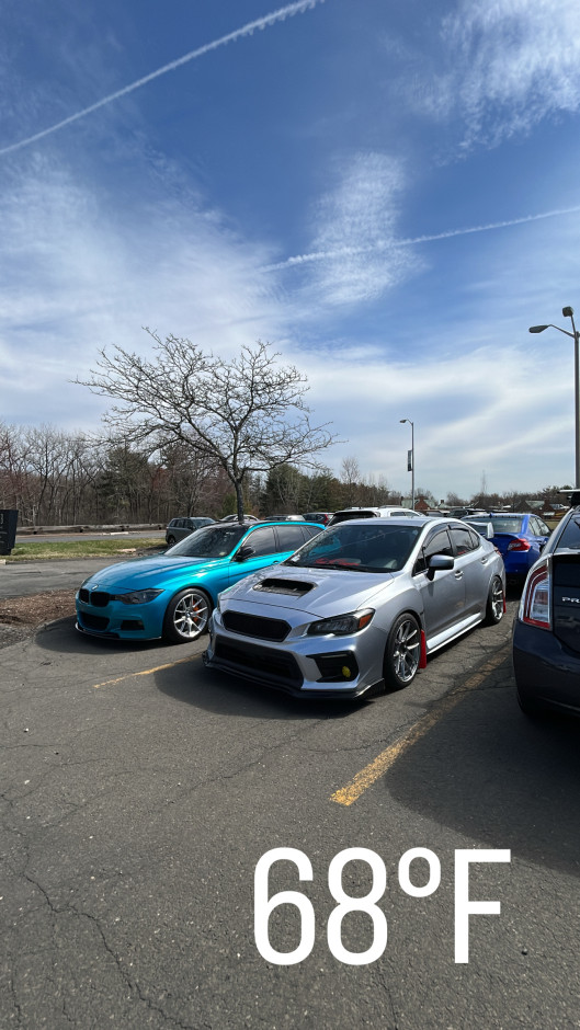 Tyler S's 2019 WRX Premium
