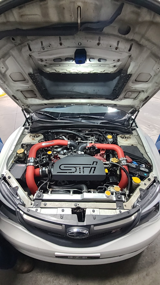 Evyn M's 2010 Impreza WRX STI 