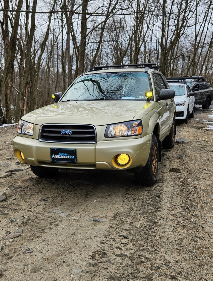 Nicholas L's 2004 Forester 2.5XS