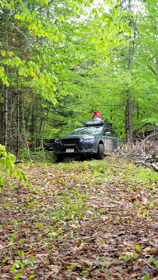 Timothy S's 2018 Crosstrek Premium