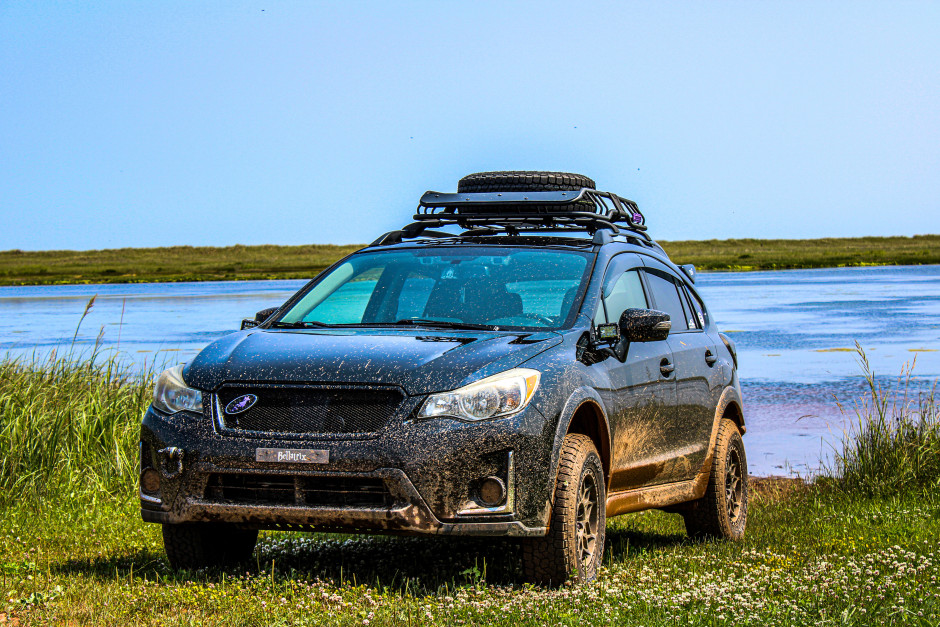 Cat Tracey's 2016 XV Crosstrek 2.0i Limited