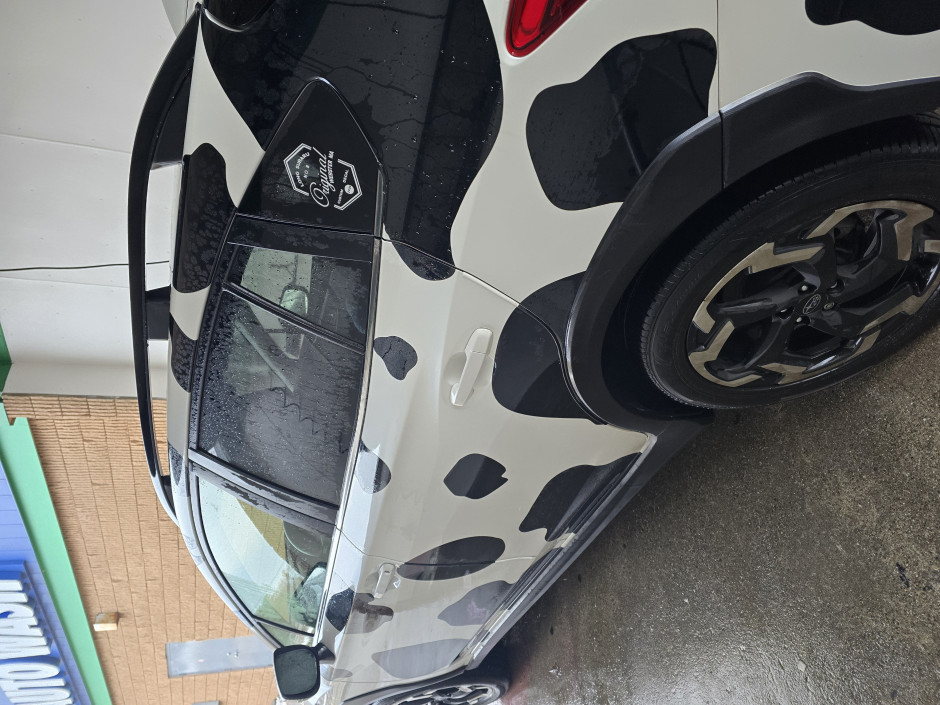 Mary  M's 2023 Crosstrek Limited 
