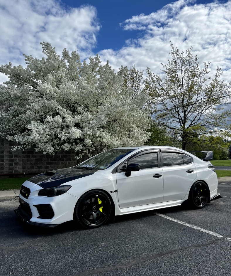 Kate H's 2019 Impreza WRX STI Limited