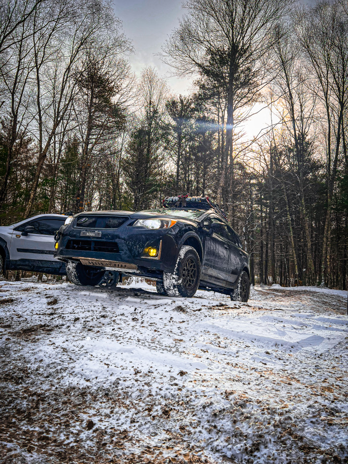 Cat Tracey's 2016 Crosstrek Limited