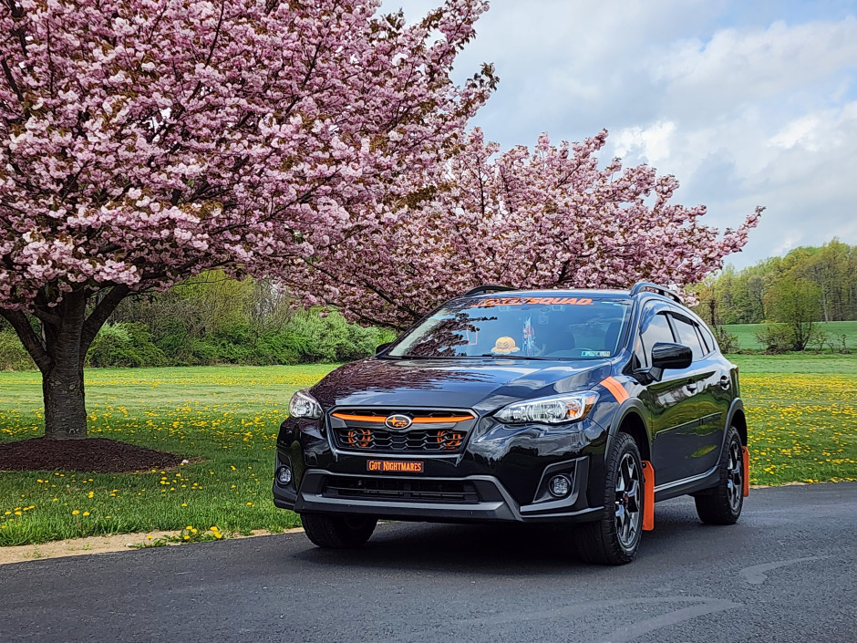 michele L's 2018 Crosstrek Premium 