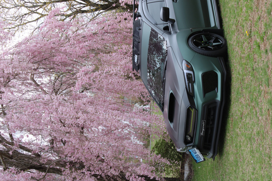 AnnMarie C's 2021 Impreza WRX Premium
