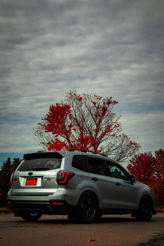 Paul M's 2017 Forester XT Premium