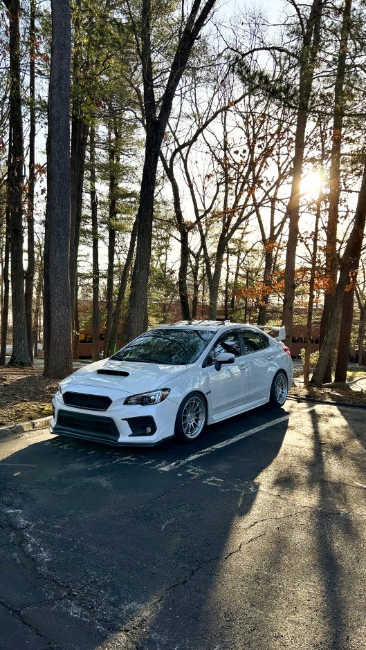 Edelina  C's 2019 Impreza WRX Premium