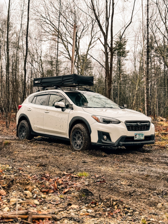 Kaden  P's 2019 Crosstrek Limited 