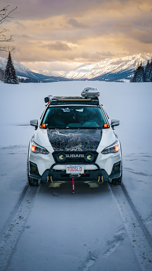 Brendan maloney's 2019 Crosstrek Premium 