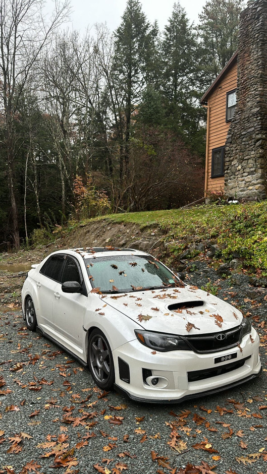 Ty F's 2013 Impreza WRX Premium 