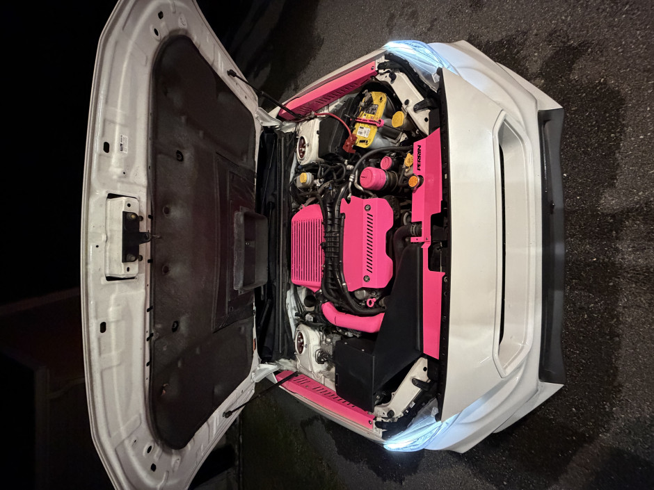 Izabel  Marcello's 2018 WRX