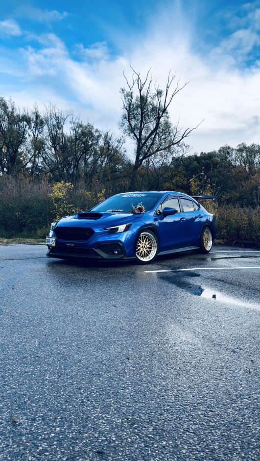 Kiara Chamberlain's 2022 WRX 6 speed , sport 