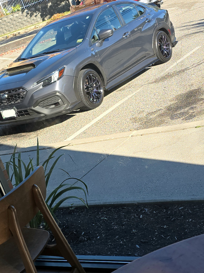Ben S's 2022 WRX