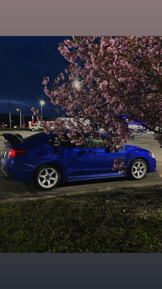 Kaitlyn S's 2015 WRX Limited