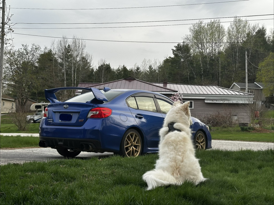 Isaiah P's 2015 WRX STI Launch Edition