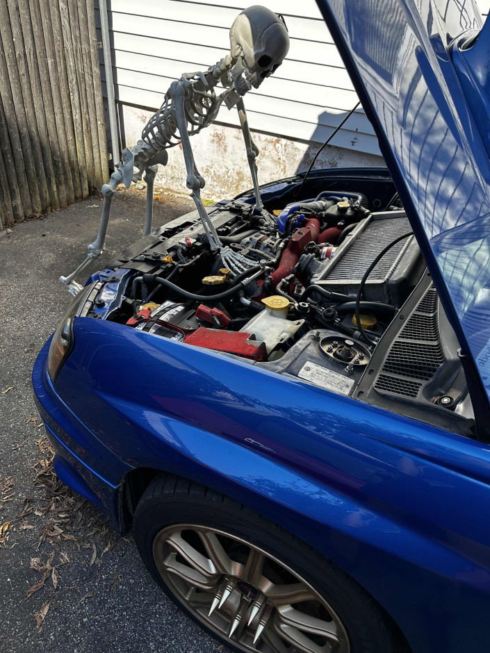 Lorinda Bradbury's 2005 Impreza WRX STI 