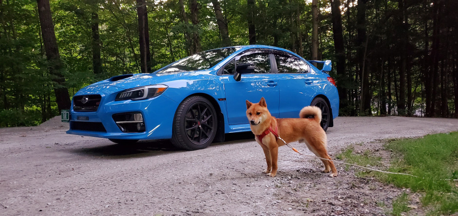 Ricky A's 2016 Impreza WRX STI Series Hyper Blue