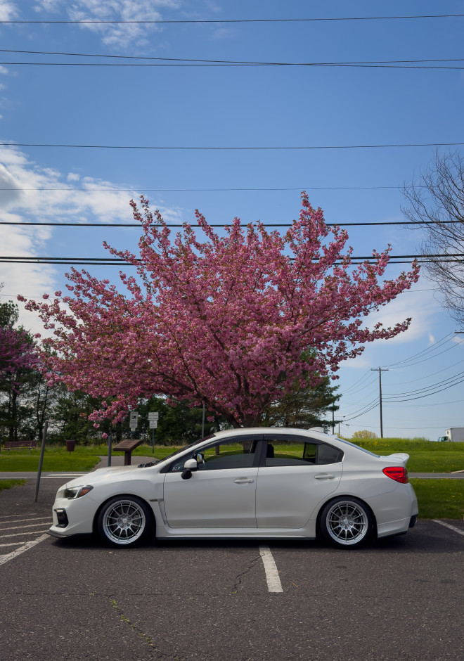 Christopher J's 2021 Impreza WRX Base