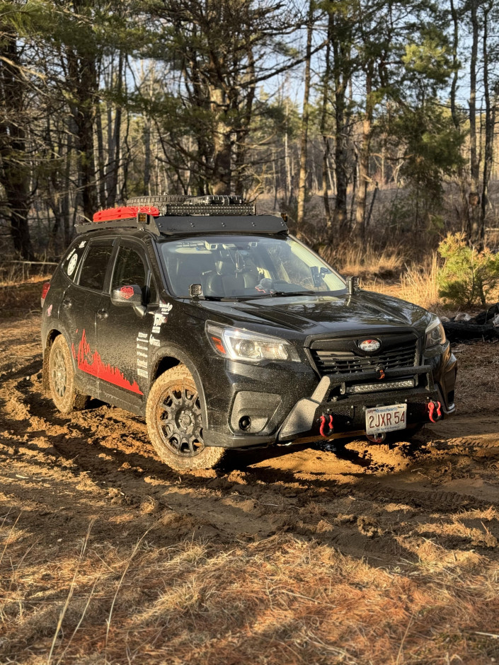 Alexander  Cramm 's 2019 Forester Premium 