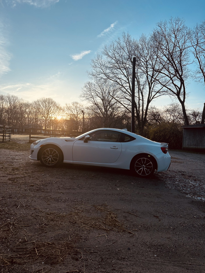 Diane D's 2017 BRZ Limited